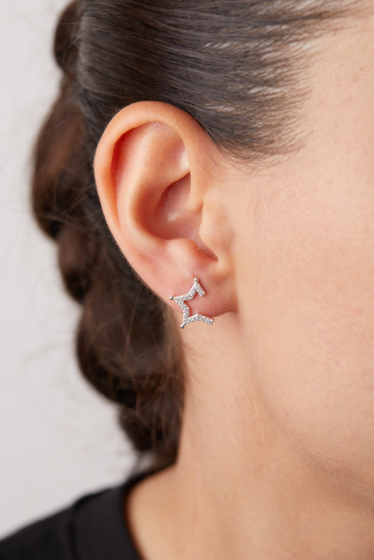 STARSTRUCK OHRSTECKER